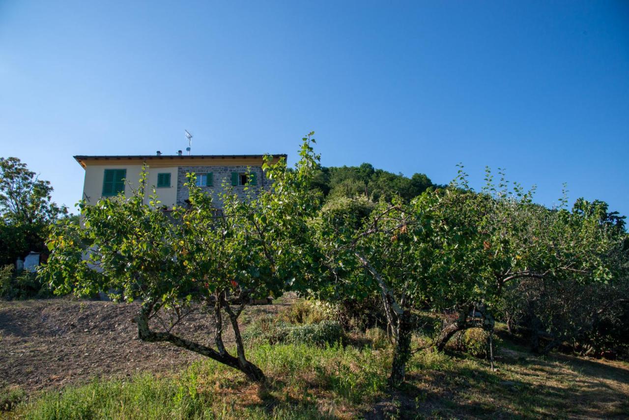 La Beppa - Casa Vacanza Pontremoli Exterior photo